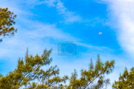 Crescent half full moon in the blue sky during the day with clouds in Playa del Carmen Quintana Roo Mexico.