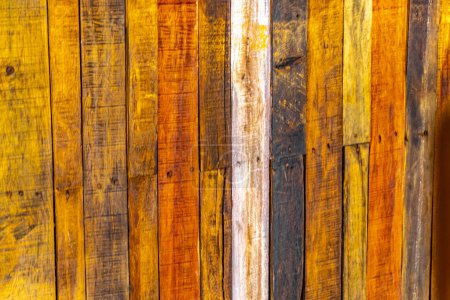 Patrón de textura de pared o puerta de madera en Playa del Carmen Quintana Roo México.