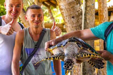 L'homme détient des tortues marines vertes tortue serpentine tortue caouanne tortue marine hors de la piscine dans la station de reproduction de tortues centre de conservation dans le Bentota Sri Lanka.