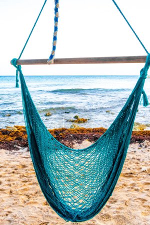 Photo for Hammock on a tropical paradisiacal beach in the Caribbean in Playa del Carmen Quintana Roo Mexico. - Royalty Free Image