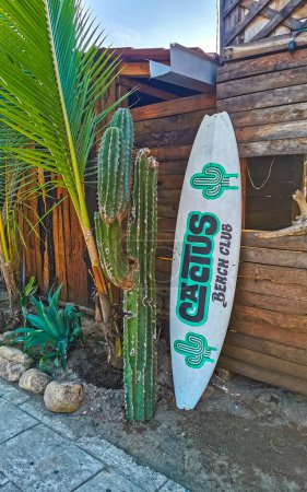 Foto de Cartel publicitario en tabla de surf cactus beach club en Zicatela Puerto Escondido Oaxaca México. - Imagen libre de derechos