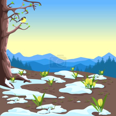 Téléchargez les illustrations : Paysage printanier avec montagnes, forêt, clairières, neige fondante et crocus jaunes. Belle illustration de fond printanier. Vecteur - en licence libre de droit