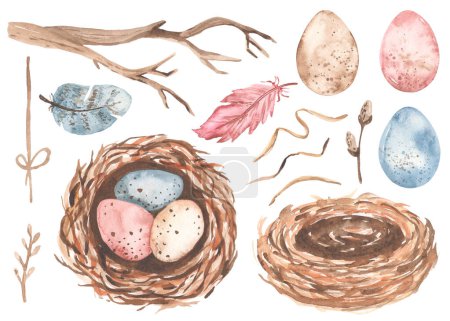 Happy easter, greeting design for postcard Watercolor Easter spring set with nests, Easter eggs, twigs, feathers, willow, straw