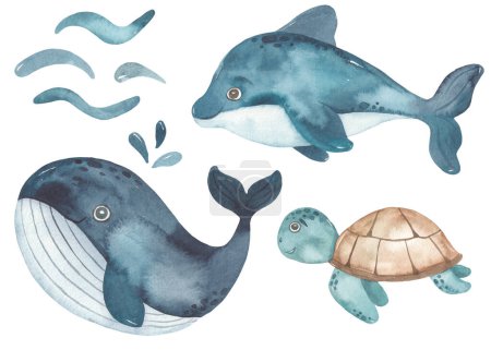 Ballena linda, delfín, tortuga marina acuarela bebé clipart