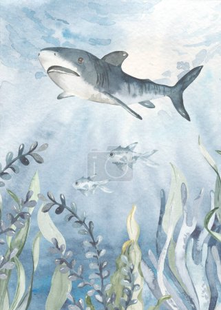 Shark, algae, corals, fish for invitations, postcards Watercolor card of the underwater world