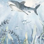 Shark, algae, corals, fish for invitations, postcards Watercolor card of the underwater world