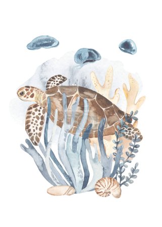 Sea turtle, corals, algae, jellyfish for invitations, Watercolor card of the underwater world