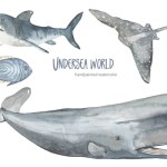 Underwater creatures sperm whale, shark, stingray, fish in gray for cards, invitations Watercolor set