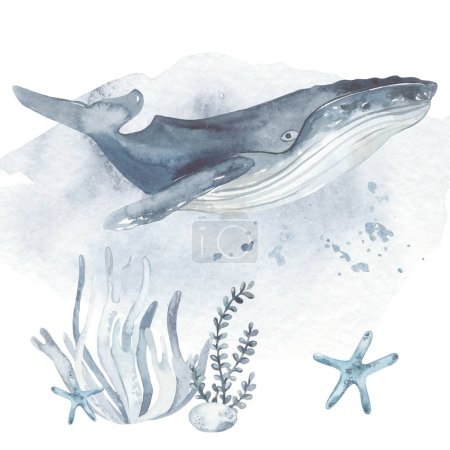Wale, Seesterne Algen für Karten und Einladung Aquarellkomposition mit Unterwasserwesen
