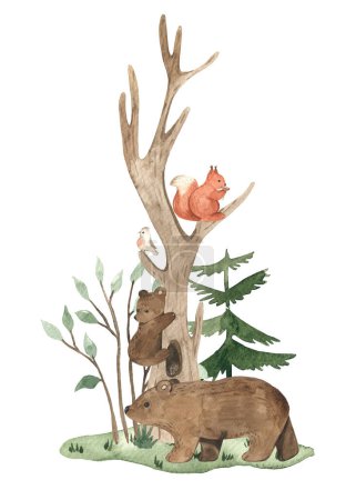 Foto de Lindos animales del bosque, oso de peluche en el árbol, oso, ardilla, abeto, árboles para tarjetas de bebé, invitaciones, duchas de bebé, vivero composición acuarela - Imagen libre de derechos
