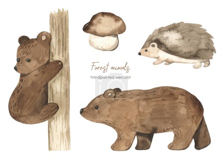 Foto de Animales del bosque, oso, cachorro, erizo, ilustración para tarjetas para niños y duchas para bebés, set de acuarela para niños - Imagen libre de derechos