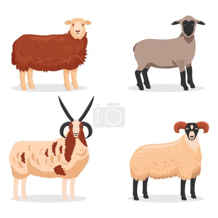 Ilustración de Varias ovejas y carneros. Ilustración vectorial - Imagen libre de derechos