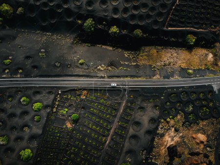 Téléchargez les photos : White car on the road in wine yards on Lanzarote (La geria region) from above by drone. Straight road among the lavas and  wine fields on the sides in Canary Islands - dark and black country. - en image libre de droit