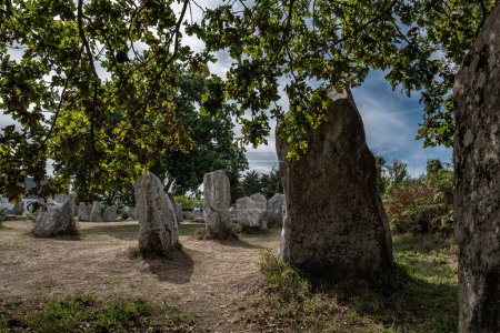 Téléchargez les photos : Ancien champ de pierre Kerzerho Cruzuno avec mégalithes néolithiques près de Finistere Village Carnac en Bretagne, France - en image libre de droit