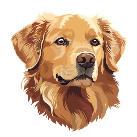 Photo for Golden retriever dog. Portrait vector illustration in cartoon style - Royalty Free Image