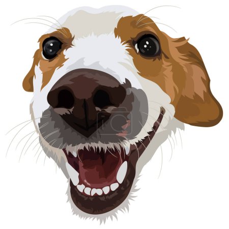 Photo for Jack Russell terrier close-up portrait of a dog. Vector illustration - Royalty Free Image