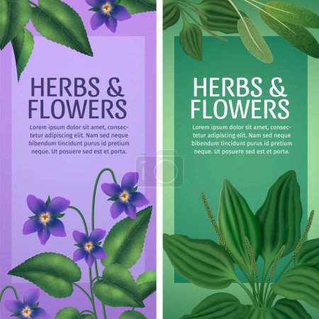 Realistic herbs vertical banner template set collection