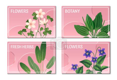 Realistic herbs horizontal cards set collection 