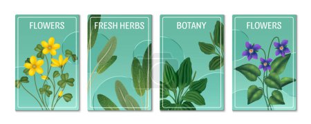 Realistic herbs vertical cards set collection with blooming flow