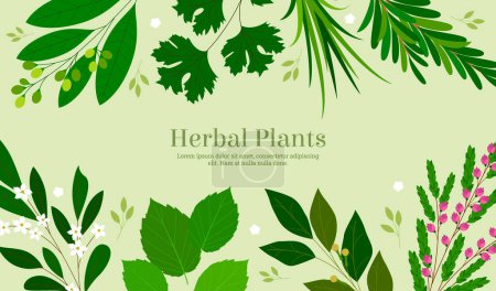 Hand drawn flat herbs composition background template
