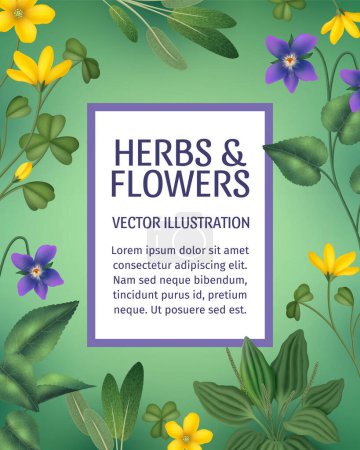 Realistic herbs composition background template with a frame