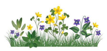 Realistische Kräuter Komposition Hintergrund mit blühenden Blumen