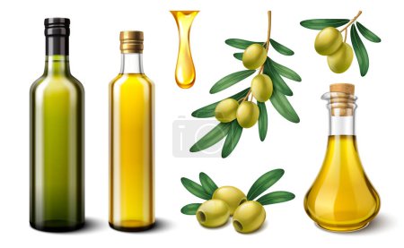 Photo for Realistic olive oil elements - Royalty Free Image