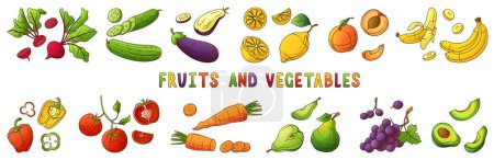 Téléchargez les photos : Collection d'éléments alimentaires biologiques dessinés à la main avec des fruits frais et - en image libre de droit