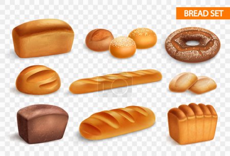 Illustration for Realistic bread transparent icon set with brioche white loaf rye bread rolls and ciabatta french baguette vector illustration - Royalty Free Image
