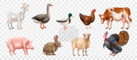 Ilustración de Realistas animales de granja conjunto con ganso cabra pavo oveja conejo vaca pato gallina cerdo aislado contra fondo transparente vector ilustración - Imagen libre de derechos