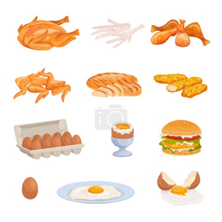 Ensemble plat de produits de poulet avec des images isolées de viande rôtie frite et d'?ufs crus avec illustration vectorielle de hamburger
