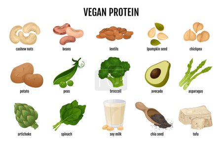 Veganes Proteinfutter-Set mit isolierten Symbolen von Nüssen, Erbsen und Brokkoli-Symbolen mit Textvektorillustration
