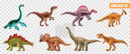 Illustration for Realistic dinosaur set with triceratops spinosaurus stegosaurus branchiosaurus tyrannosaurus isolated on transparent background vector illustration - Royalty Free Image