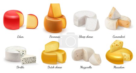 Realistische Käse-Ikone mit Edam Parmesan Schafen und holländischem Käse Camembert Dorblu Maasdam Mozzarella Vektorillustration