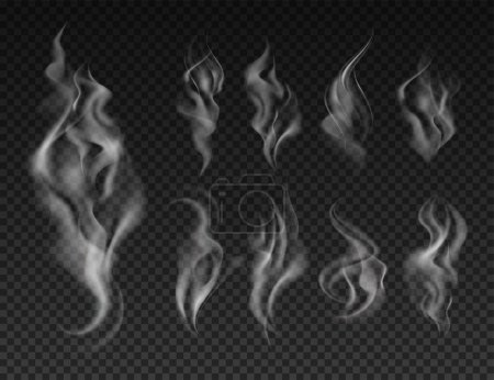 Ilustración de Gris humo de vapor rastros realistas en el aire de la evaporación o la quema en fondo oscuro transparente ilustración vectorial aislado - Imagen libre de derechos