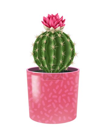 Blooming cacti realistic composition with cactus flower popular houseplant in colorful decorative pot vector illustration
