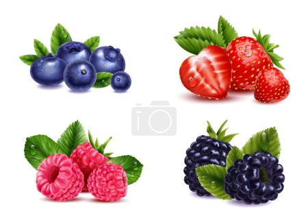 Illustration for Realistic berries transparent set with isolated images of raspberry strawberry blackberry and cranberry berries with leaves vector illustration - Royalty Free Image