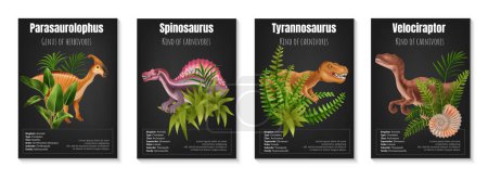 Illustration for Realistic herbivore and carnivore dinosaurs poster set with information about parasaurolophus spinosaurus tyrannosaurus and velociraptor on black background isolated vector illustration - Royalty Free Image
