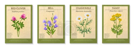 Illustration for Realistic wild flower bouque poster set isolated vector illustration - Royalty Free Image
