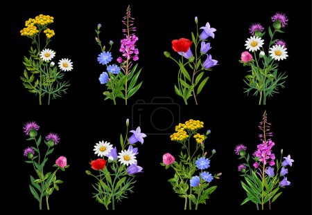 Illustration pour Icônes réalistes de faisceaux de fleurs sauvages sur fond noir illustration vectorielle isolée - image libre de droit