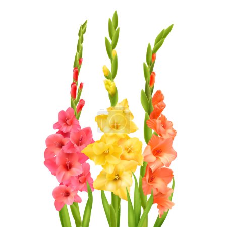 Illustration for Gladiolus flowers with buds and leaves against white background realistic vector illustration - Royalty Free Image