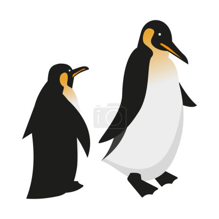 Illustration for Two king penguins isometric 3d vector illustration - Royalty Free Image