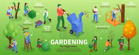 Garden workers infographic set with hedge trimming symbols isometric vector illustration