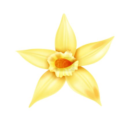 Téléchargez les illustrations : Yellow vanilla flower on white background realistic vector illustration - en licence libre de droit