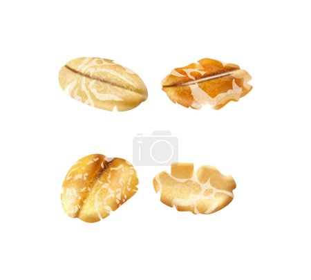 Téléchargez les illustrations : Realistic muesli composition with isolated image of cereal on blank background vector illustration - en licence libre de droit
