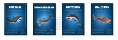 Ilustración de Cartel realista de tiburón con diferentes tipos de peces peligrosos ilustración vectorial aislada - Imagen libre de derechos