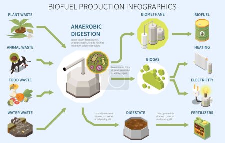 Ilustración de Biofuel production infographics poster with types of organic waste anaerobic digestion biogas usage 3d isometric vector illustration - Imagen libre de derechos
