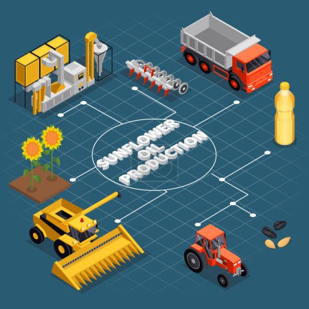 Illustration for Sunflower production isometric composition with flowchart of tractors trucks irrigating appliances machinery plants and editable text vector illustration - Royalty Free Image