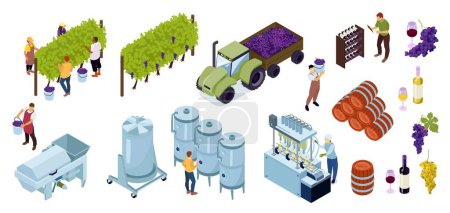 Téléchargez les illustrations : Isometric vineyard wine production set wine in bottles and glass grape various devices and equipment for growing and harvesting grapes vector illustration - en licence libre de droit