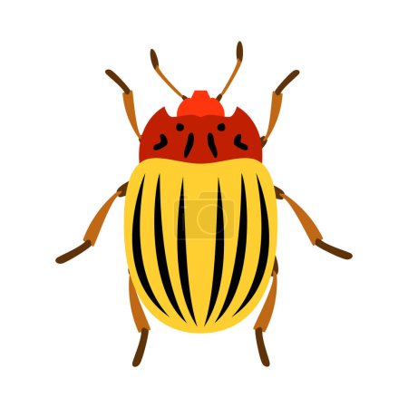 Ilustración de Color colorado papa escarabajo plano vector ilustración - Imagen libre de derechos